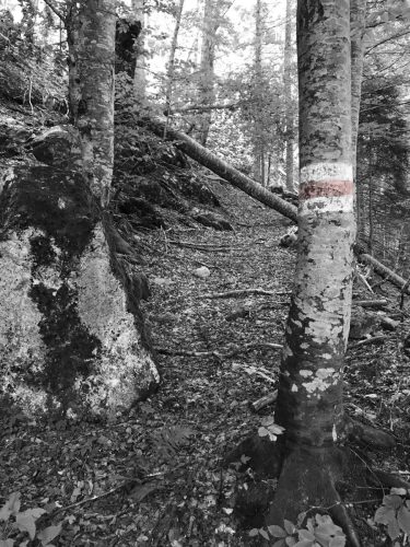 leitersteig-Kopie