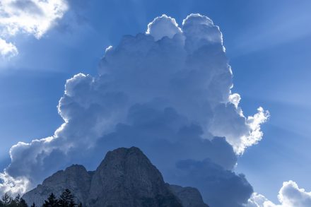20250814- N9A0794